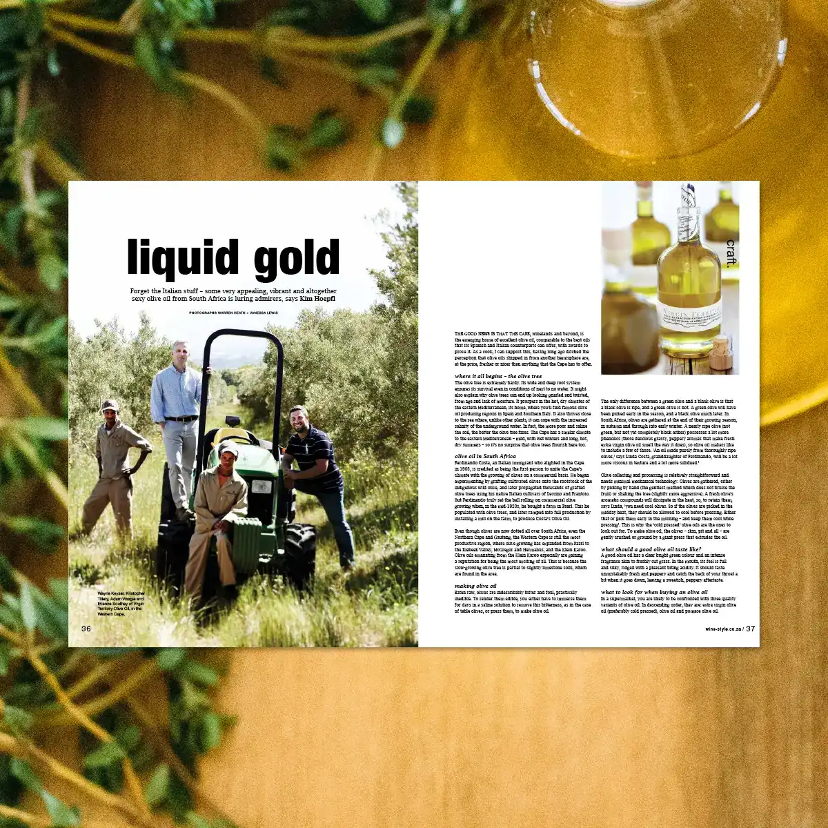 Craft Olive Oil PDF